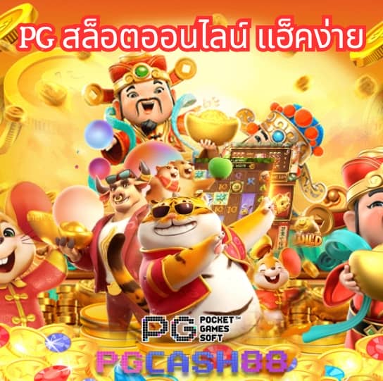ทดลองpg